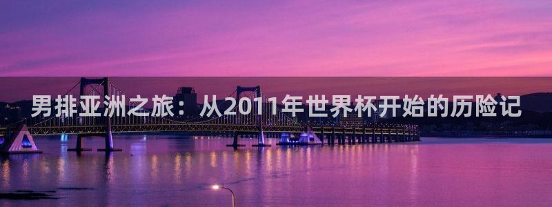 世界杯球队:男排亚洲之旅:从2011年世界杯开始的历险记