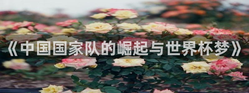 今年的世界杯:《中国国家队的崛起与世界杯梦》