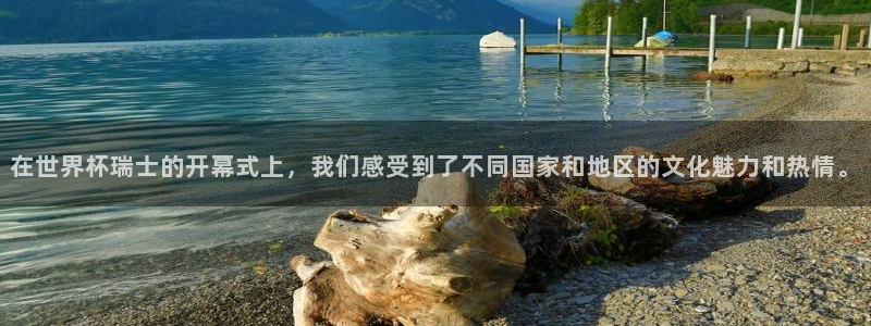 2026世界杯赛程表完整版:在世界杯瑞士的开幕式上,我们感受到了不同国家和地区的文化魅力和热情。