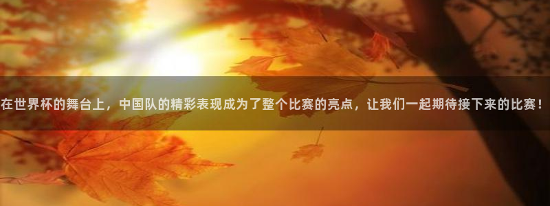 2026世界杯赛程时间表最新:在世界杯的舞台上,中国队的精彩表现成为了整个比赛的亮点,让我们一起期待接下来的比赛!