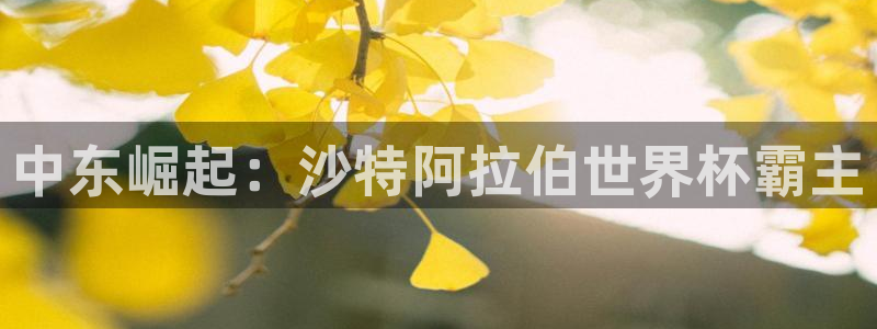 世界杯2026预选赛:中东崛起:沙特阿拉伯世界杯霸主